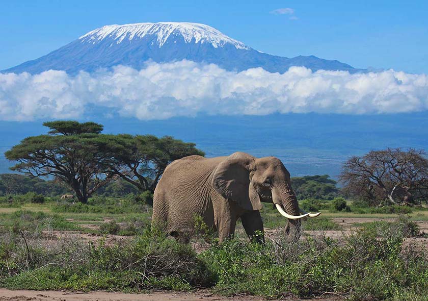 Umbwe Route - 8 Days Kilimanjaro Climbing