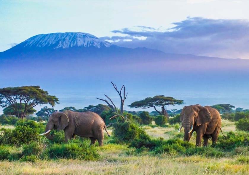 Umbwe Route - 8 Days Kilimanjaro Climbing