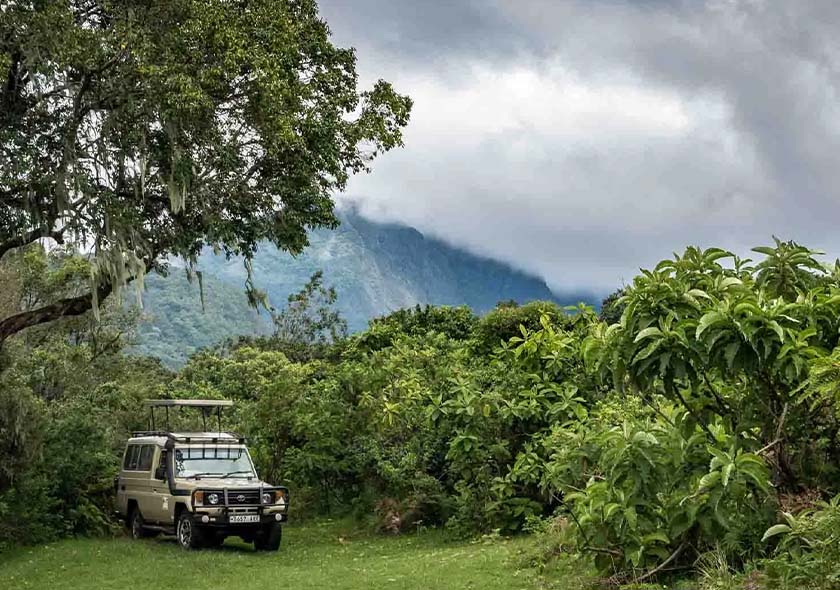 4-Day Taste of Tanzania - Tarangire, Serengeti & Crater