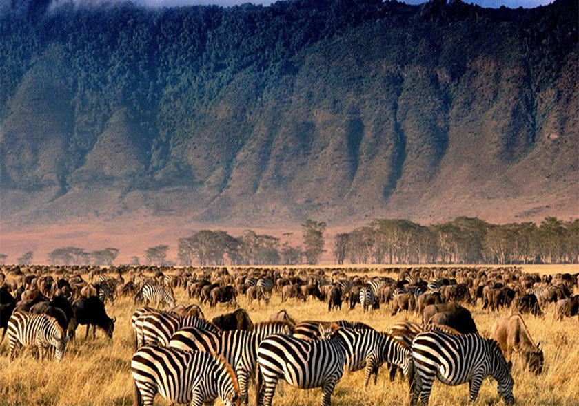 8-Day Big Five Safari