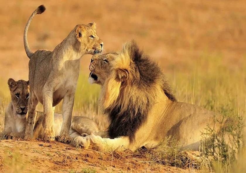 3-Day Fly in from Zanzibar Tarangire, Crater & Manyara