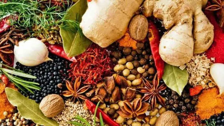 Spice Farm Tour